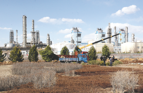 大玩家棋牌平台展示